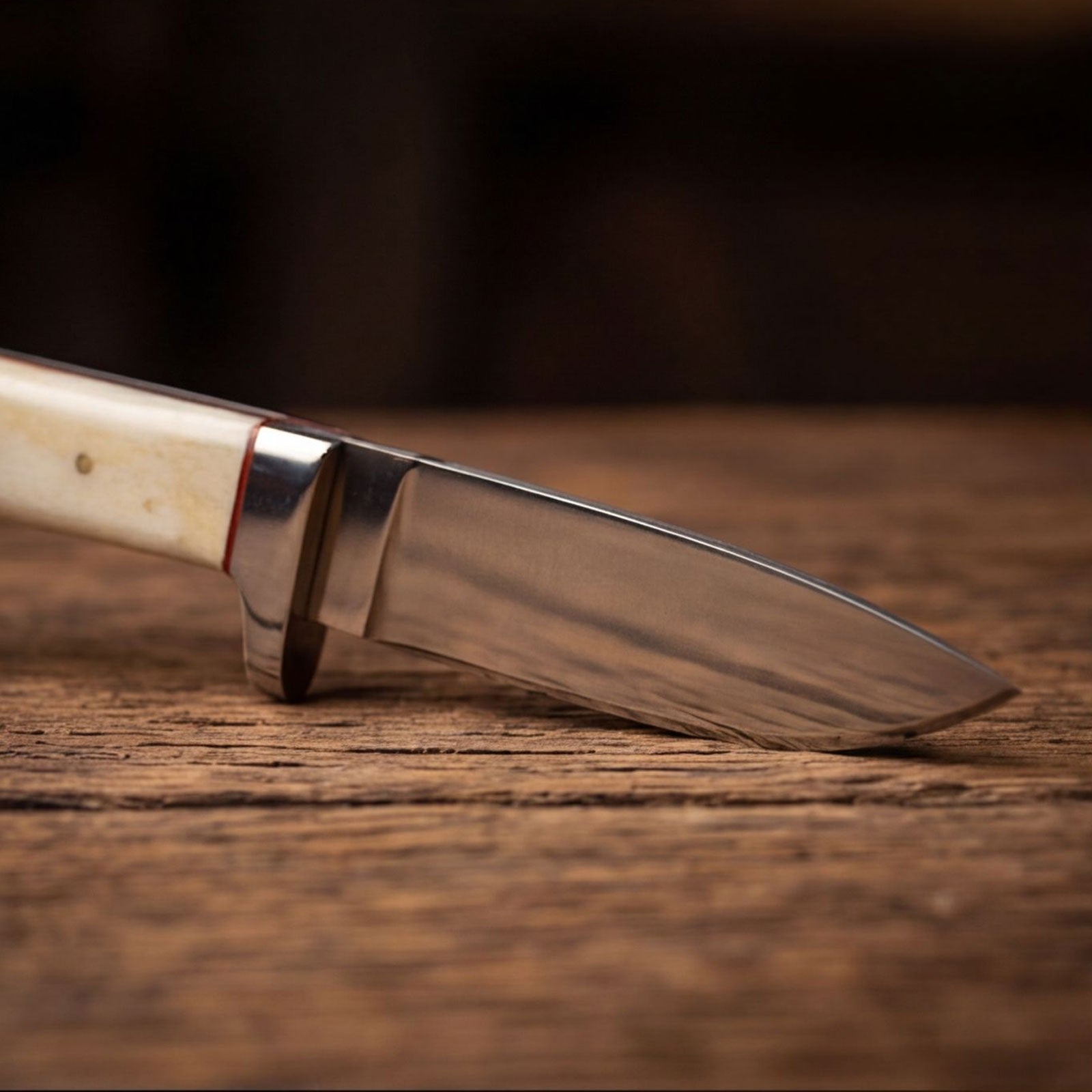 Handmade J2 Steel Skinner Knife 8” Camel Bone Handle Drop Point