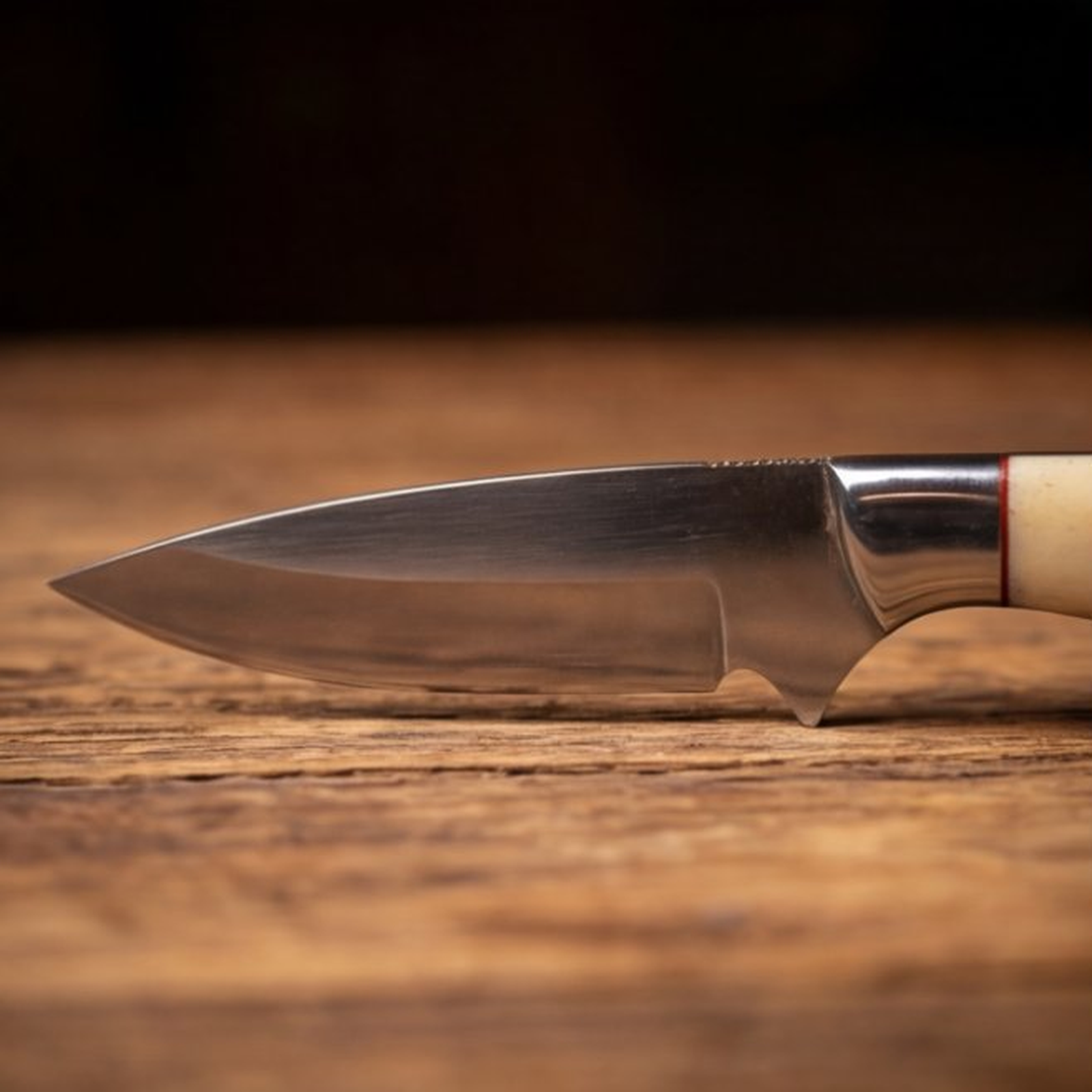 Handmade J2 Steel Skinner Knife 8” Camel Bone Drop Point